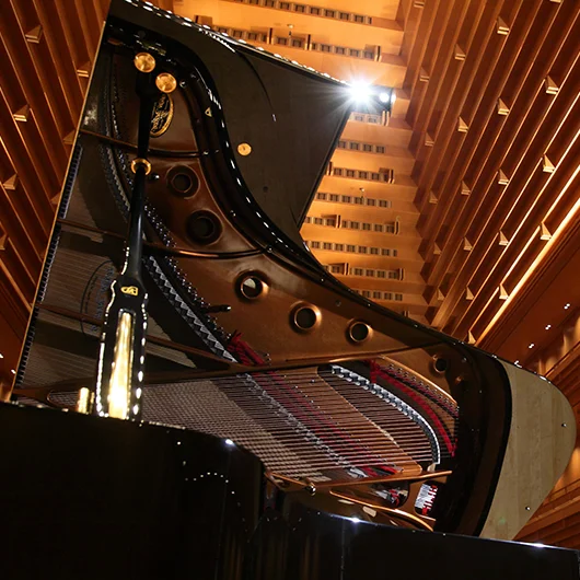 Рояль Shigeru Kawai SK EX-L