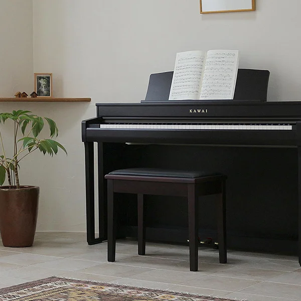 Цифровое пианино Kawai CN39
