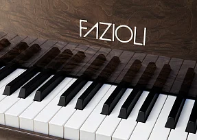 Рояль Fazioli Tamo