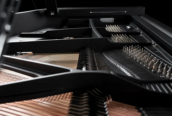 Рояль Schimmel C 169 BLACK PEARL
