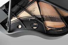 Рояль Schimmel C 169 BLACK PEARL