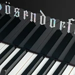 Превью Рояль Bösendorfer Beethoven Edition