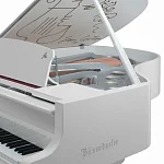Превью Рояль Bösendorfer Cocteau