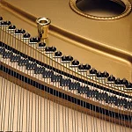 Превью Рояль Schimmel N.W. Schimmel Edition