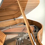 Превью Рояль Schimmel Paldao