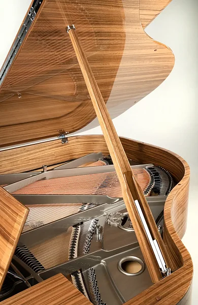 Рояль Schimmel Paldao