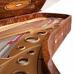 Превью Рояль Fazioli Red Elm