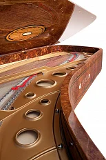 Рояль Fazioli Red Elm