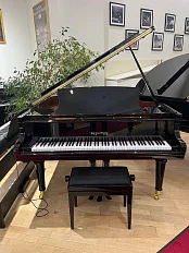 Рояль Kayserburg GH160/A111