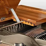 Превью Рояль Schimmel Zebrano