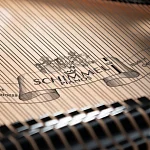 Превью Рояль Schimmel C 169 BLACK PEARL