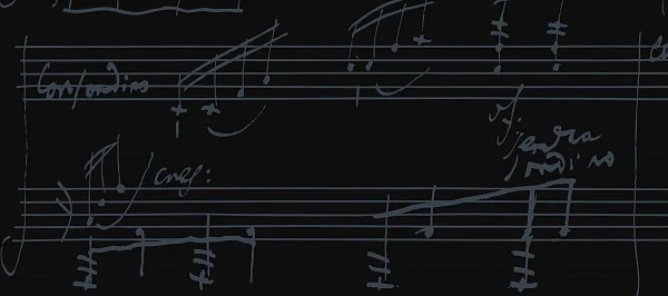 Рояль Bösendorfer Beethoven Edition