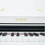 Превью Цифровой рояль FLYKEYS FGP110