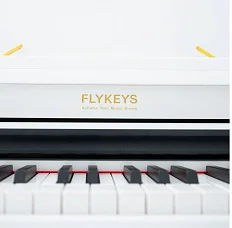 Цифровой рояль FLYKEYS FGP110