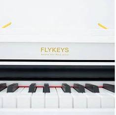 Цифровой рояль FLYKEYS FGP110
