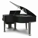 Превью Рояль Bösendorfer Porsche