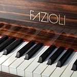 Превью Рояль Fazioli Macassar