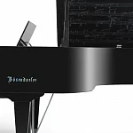 Превью Рояль Bösendorfer Beethoven Edition