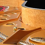 Превью Рояль Shigeru Kawai SK-2L