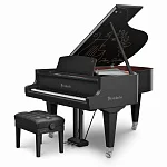 Превью Рояль Bösendorfer Cocteau
