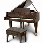 Превью Рояль Bösendorfer 200