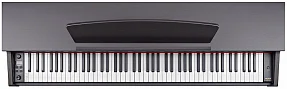 Цифровое пианино Becker BDP-82