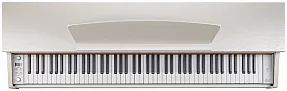 Цифровое пианино Becker BDP-82