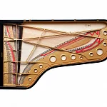 Превью Рояль Fazioli F278