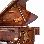 Превью Рояль Fazioli Red Elm