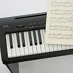 Превью Цифровое пианино Kawai ES110