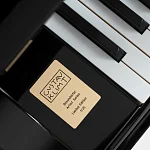 Превью Рояль Bösendorfer Tree of Life