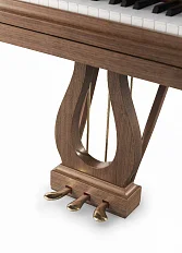 Рояль Fazioli Walnut Strauss