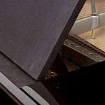 Превью Рояль Bösendorfer Edge