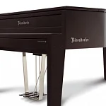 Превью Рояль Bösendorfer Edge