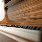Превью Рояль Schimmel Paldao