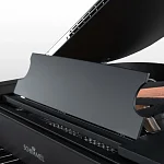 Превью Рояль Schimmel C 169 BLACK PEARL