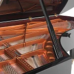 Превью Рояль Bösendorfer 225