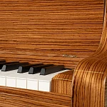 Превью Рояль Schimmel Zebrano