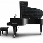 Превью Рояль Bösendorfer Beethoven Edition