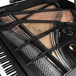 Превью Рояль Schimmel C 169 BLACK PEARL
