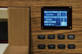 Электронный орган Viscount Domus 6