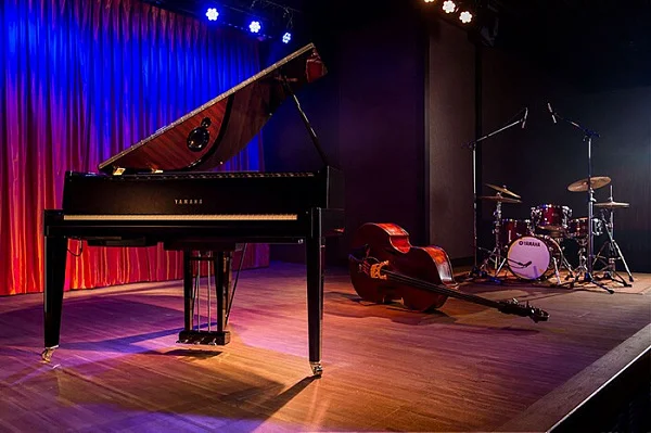 Цифровой рояль Yamaha AvantGrand N3X