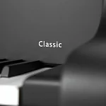 Превью Рояль Schimmel C 169 BLACK PEARL