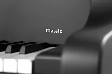 Рояль Schimmel C 169 BLACK PEARL