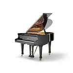 Превью Рояль Fazioli F156