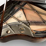 Превью Рояль Schimmel Ziricote