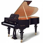 Превью Рояль Bösendorfer Strauss
