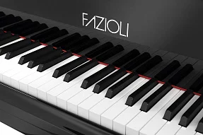 Рояль Fazioli Silver