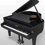 Превью Рояль Schimmel C 169 BLACK PEARL