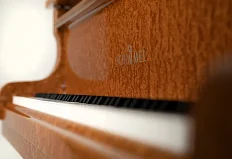 Рояль Schimmel Eucalyptus
